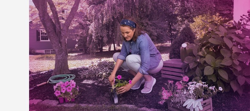 woman planting a flower in her garden